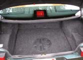 Trunk